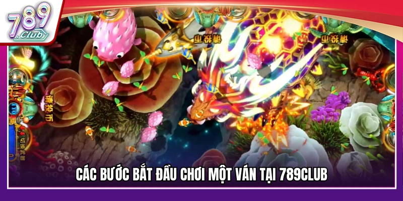 Quy trình bắt đầu chơi một ván trong game tại 789Club